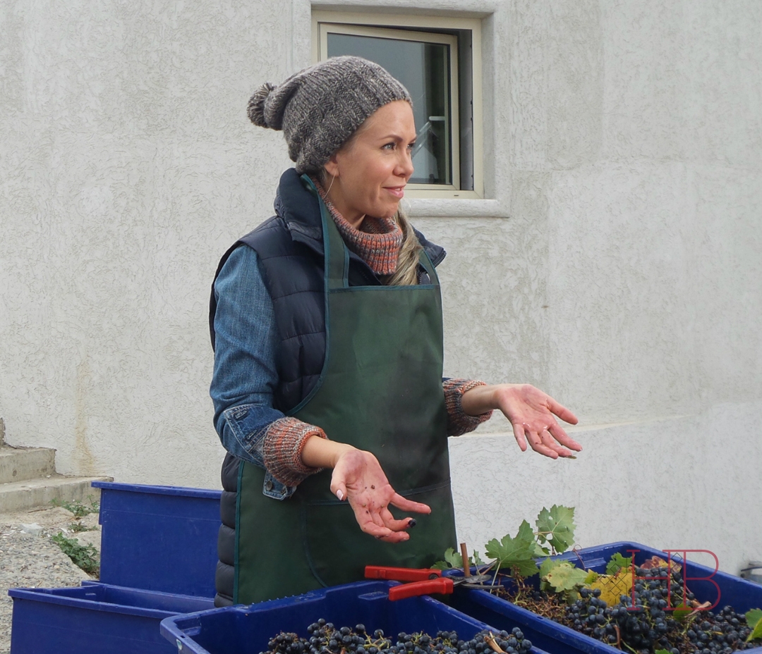 Героиня Яни Шивковой учится сортировать виноград