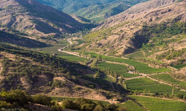 Вина Крыма происходят с таких живописных виноградников