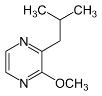 Рис. 1. Молекула, ответственная за тон болгарского перца в сортах сеймества карменетов, 2 –изобутил – 3 – метоксипиразин ( IBMP )