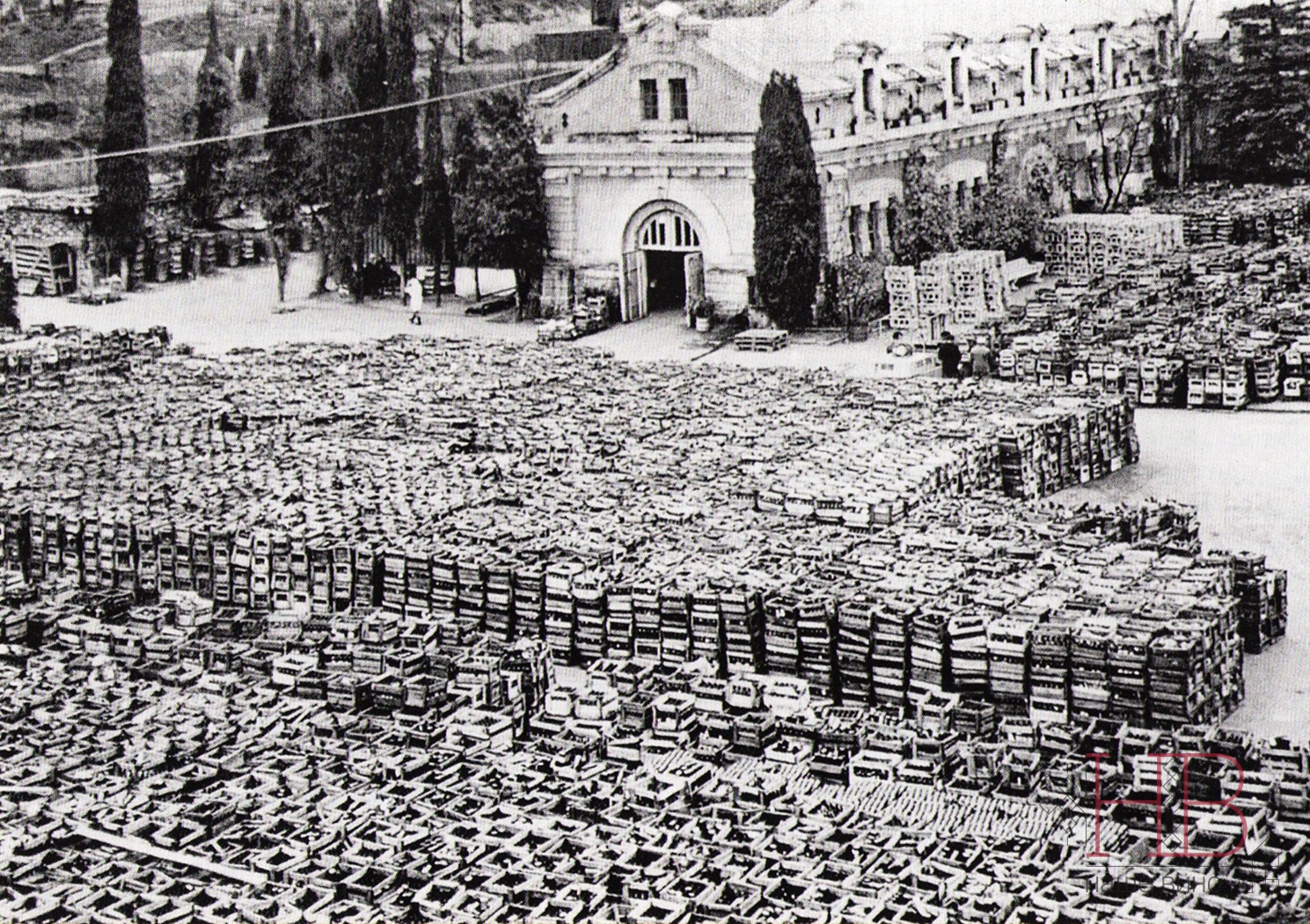 Сентябрь 41-го. Массандровскую коллекцию вин готовят к эвакуации