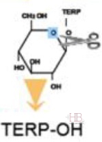 Рис.2 Действие фермента β-глюкозидазы на комплекс глюкоза – терпеновый спирт с высвобождением последнего.