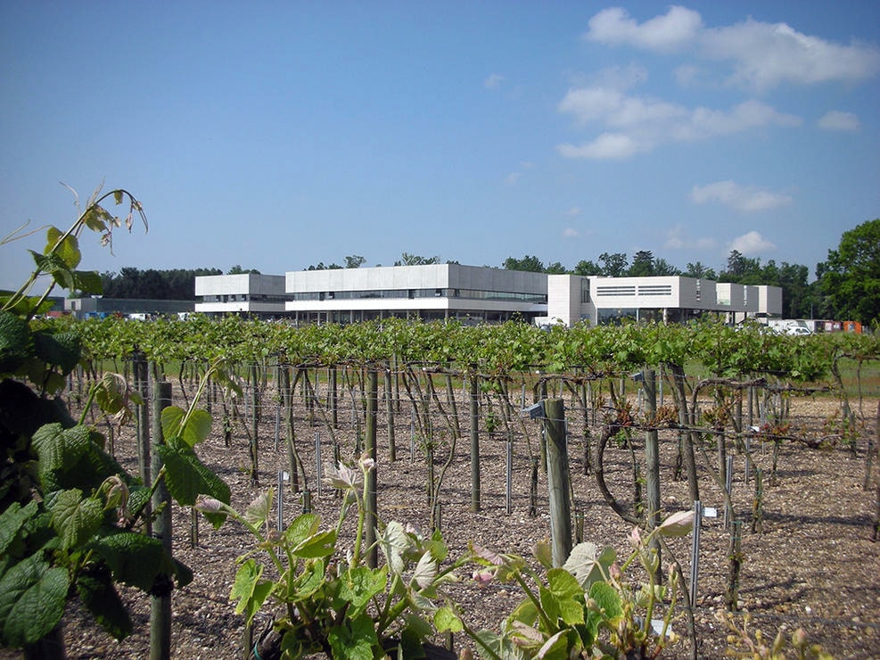 Институт наук о виноградарстве и виноделии Университета Бордо - мощная научная и образовательная база на совместном финансировании государством, региональным правительством и комитетом виноделов Бордо.